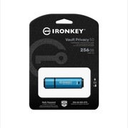 Kingston 256GB IronKey Vault Privacy 50 256bit