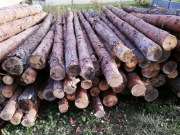 Stemple budowlane sosnowe