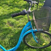 Rower damski Burggardt town