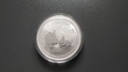 Lunar 2 Rok Królika 2011r 1oz uncja srebrna moneta 999