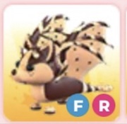 Adopt me! Chocolate chip Bat Dragon FR