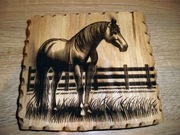 obrazek wypalony w drewnie, konik, Fajne na prezent