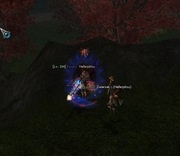 Sura Wp 184Lvl / Duzo SM / Full IS EXP