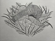 Ręcznie wykonany rysunek, ślimak, rysunek długopisem 