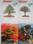 BONSAI  EUROPE TODAY  CZASOPISMA