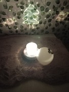 Lampka projektor Gockowiak biały