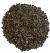 Gryka miododajna poplon pokarm dla gryzoni do siewu dopłaty ekologiczna 