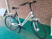 Rower holenderski miejski Gazelle masywny