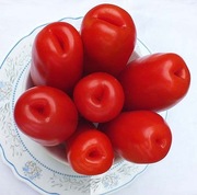 Pomidor Aurija Dwarf nasiona kolekcjonerskie