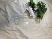 Etui Iphone 12 pro max