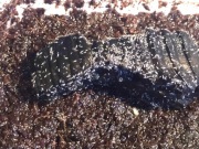 Skoczogonki najlepsza ekipa sprzątająca 1l 1000 ml, prosionki, wije,isopody