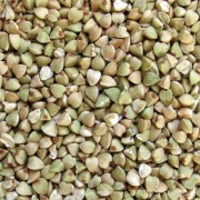 Kasza gryczana nieprażona niepalona ekologiczna 10kg