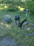 Rower elektryczny SPARTA ION 250W 28'' z Przyczepką dla psa 