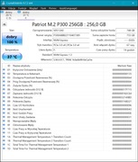 Patriot M.2 NVMe 2280 256GB, nowy, 15 godzin pracy dysku 
