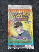 Pokemon Gym Heroes Booster (Empty) - Brock art