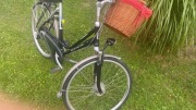 ROWER GAZELLE DAMKA