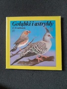 Gołąbki i astryldy / Jabłoński Krzysztof M.