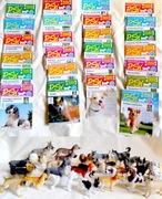 Psy Zestaw czasopism i figurek