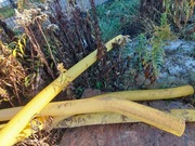 Rury drenarskie fi 100