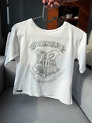 Wizarding World Harry Potter Hogwarts White T-shirt (146-152, 10-11 lat)