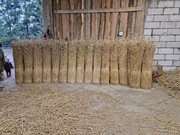 Słoma snopki snopek słoma żytnia trzcina strzecha 