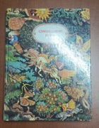 Czarodziejskie Baśnie Rosyjskie baśnie ludowe 