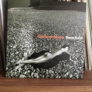 Steve Kuhn Trio - Quiereme Mucho   (Venus Records)