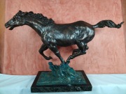 Mustang - dziki koń