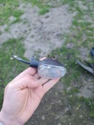 Kierunkowskaz gilera runner piaggio ngr 