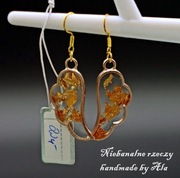 Kolczyki z żywicy skrzydła