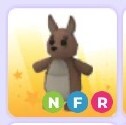 Adopt me! Kangaroo NFR
