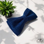 Mucha męska modrakowa chabrowa