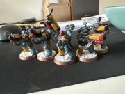 Warhammer 40 k space wolf desolation squad