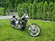 2010 Chopper Regal Raptor 