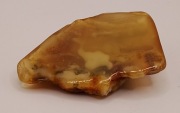 Bursztyn bałtycki - bryłka