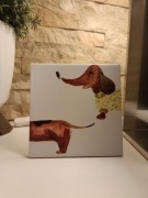 Płytka ceramiczna 15x15 jamnik – akwarela, obrazek ozdobny