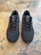 Męskie buty do biegania Nike Air Winflo 47