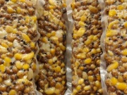 MIX (kukurydza + pszenica + konopie + orzech tygrysi)