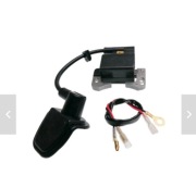 Zapłon do chińskich kos NAC WLBC580E BP540