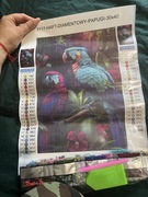 Mozaika diamentowa papuga 30x40