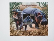 (1677) blok hipopotan