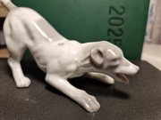 Figurka porcelanowa pies myśliwski piesek  Gebruder Heubach  przedwojenna 