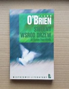 Sweeny wśród drzew / Flann O'Brien