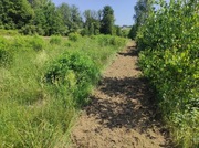 Koszenie nieużytków traw zarośli 