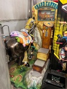 Crand Canion Cogan bujak