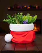 Czapka Mikołaja - Świąteczna Osłonka na Rośliny