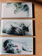 Mozaika szklana prostokąty 4,5x9,8cm nadruk na szkle KOTKI