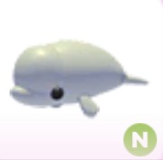 Beluga Whale N - Adopt Me Roblox