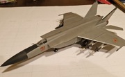 Model  samolot radziecki MiG-25 (oznaczenie NATO: „Foxbat”). 