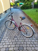 Rower damski  marki "KANDS"